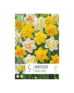 Bulbi di Narcissus Double Mixed Colours Kapiteyn 5 pz