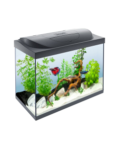 Acquario Starter Line LED 80L day/lunar Tetra