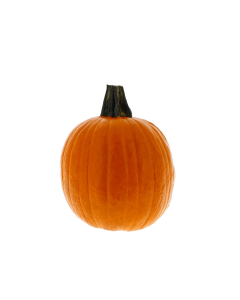 Zucca ornamentale Halloween Mini 1/1,5kg
