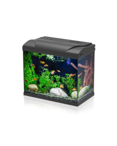 Kit acquario Simply LED 30L Aqpet