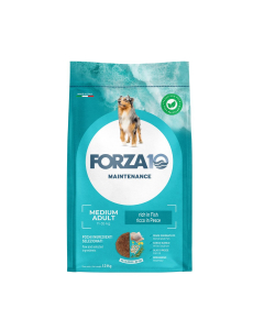 Forza10 Maintenance Medium Adult crocchette per cani adulti Pesce 12kg