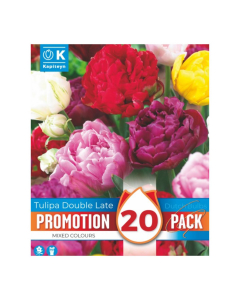 Bulbi di Tulipa Double mixed colours Kapiteyn 15pz