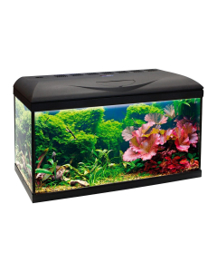 Acquario Amtra Basic 60 LED Black 55L