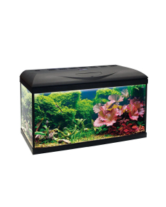 Acquario Amtra Basic 80 Led