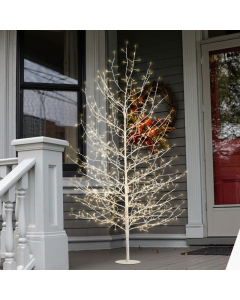 Albero Tiglio luminoso microled bianco caldo