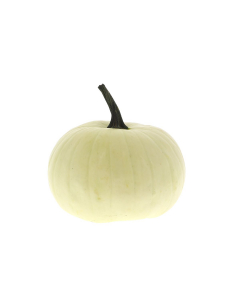 Zucca ornamentale bianca Halloween Piccola 2/3kg