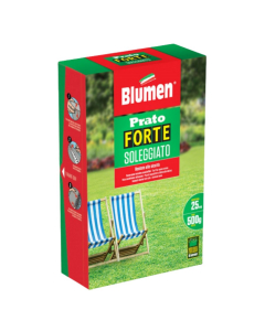 Prato forte soleggiato