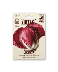 Semi Vintage Cicoria Rossa