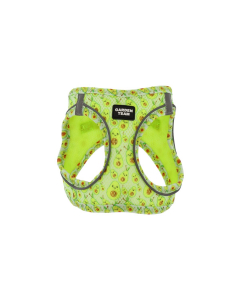 Pettorina Mesh Avocado per cani