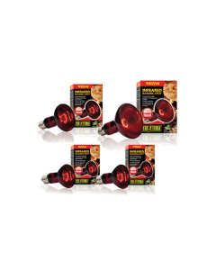 Lampada infrarossi per terrario Exo Terra Infrared Basking Spot 100W