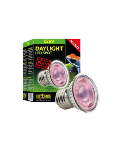 Lampada per terrario Exo Terra Daylight LED Spot Nano 5W
