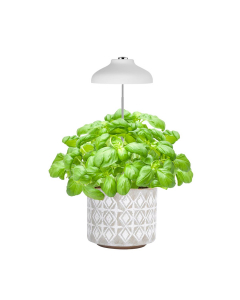 Lampada LED Universale per Piante