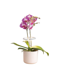 Lampada LED per Orchidee e piccole piante fiorite
