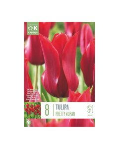 Bulbi di Tulipa Lily Flowered Pretty Woman Kapiteyn 8 pz