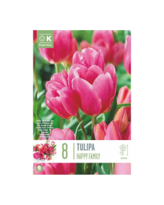 Bulbi di Tulipa Multi Headed Happy Family Kapiteyn 8 pz