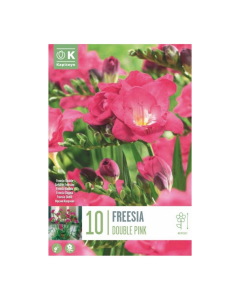 Bulbi di Freesia Double Pink Kapiteyn 10 pz