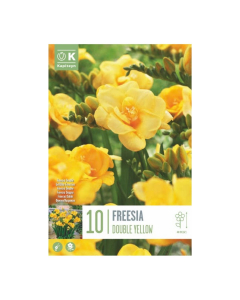 Bulbi di Freesia Double Yellow Kapiteyn 10 pz