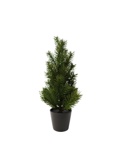 Pino verde H30cm con vaso