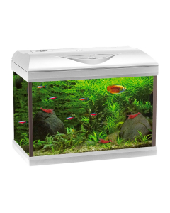 Acquario Amtra Basic LED 80 White 85L