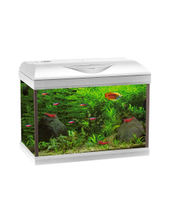 Acquario Amtra Basic 60 LED White 55L