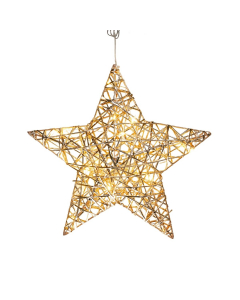 Stella luminosa di Natale Champagne Luci led Bianco caldo