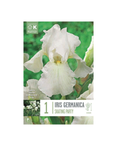 Bulbi di iris Germanica Skating Party Kapiteyn 1 pz