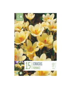 Bulbi di Crocus Chrysanthus Romance Kapiteyn 15 pz