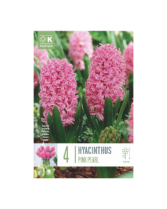 Bulbi di hyacinthus pink pearl