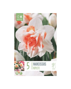 Bulbi di narcisi double replete