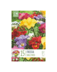 Bulbi di freesia single colori misti