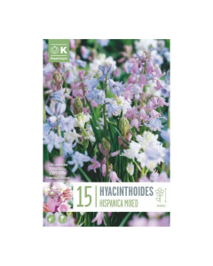 Bulbi di Hyacinthoides Hispanica Mixed Colours Kapiteyn 15 pz