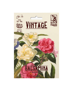 Semi Balsamina o Begliuomini Vintage