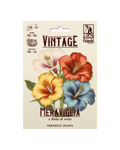 Semi Meraviglia o Bella di Notte Vintage