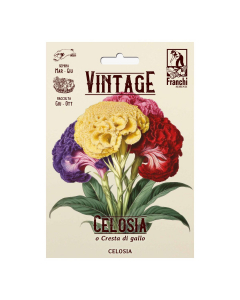 Semi Celosia Creste di Gallo Vintage