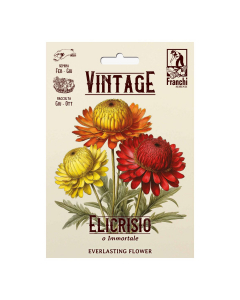 Semi Elicrisio o Immortale Vintage