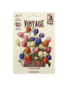 Semi Gomphrena o Amarantoide Vintage