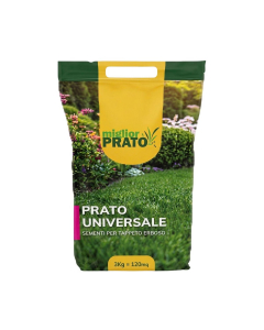 Blumen Miglior Prato Universale 3 kg