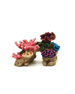 Arco di pietra con coralli decorazione acquario Amtra