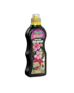 Flortis Energy concime per dipladenie – 500 ml