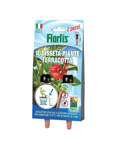 Flortis Disseta Piante Terracotta