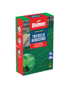 Prato trifoglio nanissimo