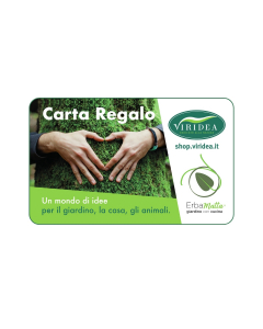 Gift Card Casa delle Feste