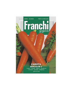 Semi carota berlicum 2