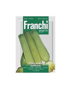 Semi zucchino genovese