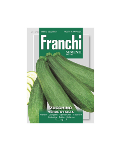 Semi zucchino verde d'italia