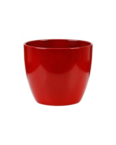 Vaso energy red