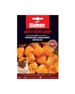 Semi peperone habanero arancio