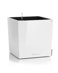 Vaso cube premium 30 bianco lechuza