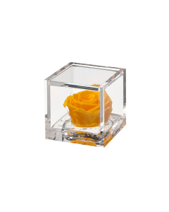 Flowercube rosa gialla 6x6