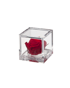 Flowercube rosa rossa 6x6